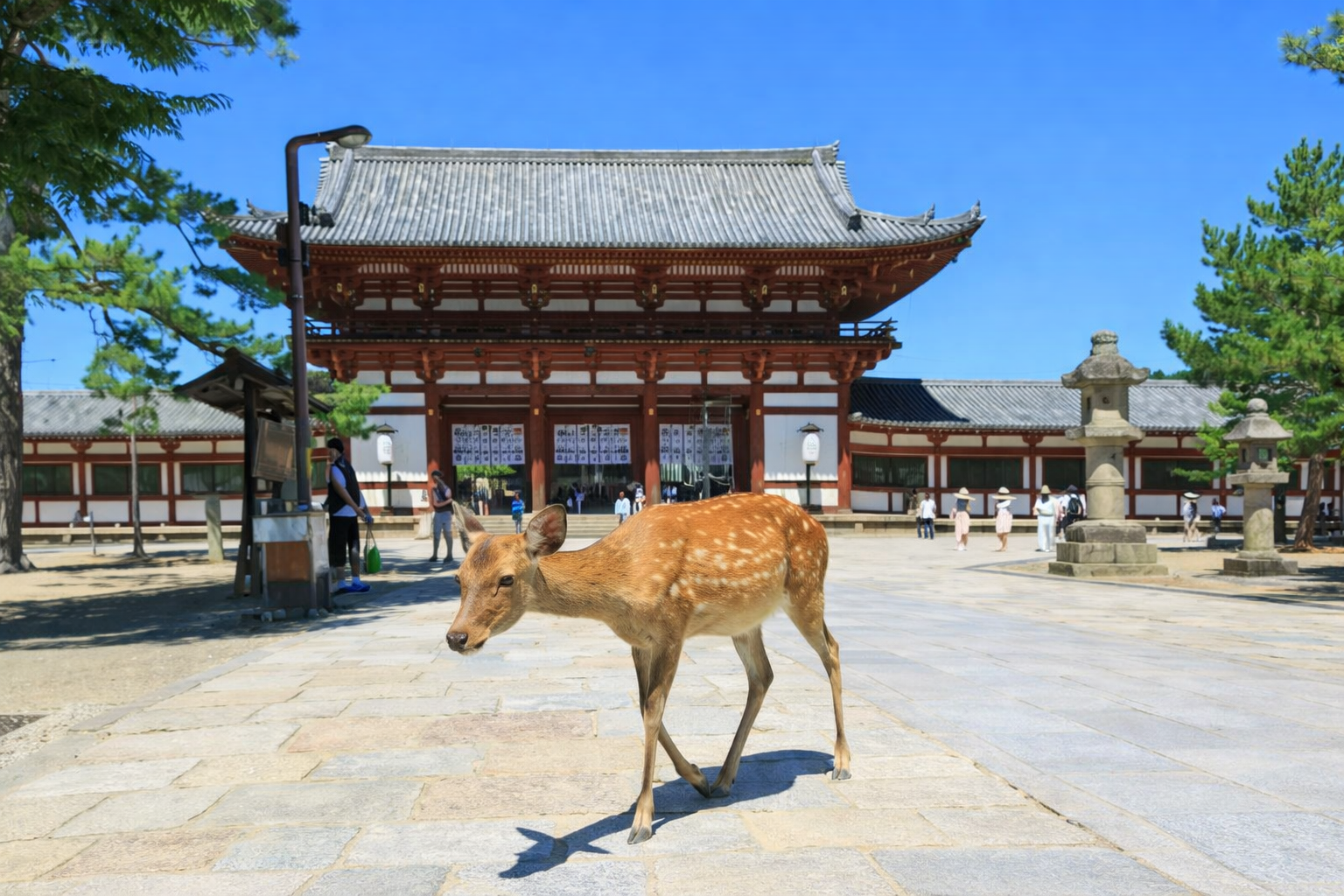 Nara
